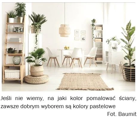 baumit gladz z wiaderka